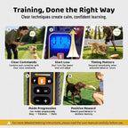 Waterproof Dog Shock Collar with Remote 3300 FT – 3 Modes Beep Vibrate Static, LED Light, 20-Level Adjustable, Rechargeable Training Collar for Small Medium Large Dogs 8-120 lbs