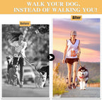 Stainless Steel Prong Dog Training Collar Adjustable Pet Pinch Collar for Dogs with The Swivel Ring 22in x 3.0mm (Neck Size up to 18in) L