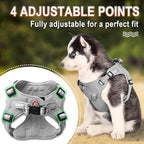 Dog Harness Step in Dog Vest Harness, Reflective Adjustable Puppy No Pull Harness Breathable Soft for Small and Medium Dogs Cats, Grey, S