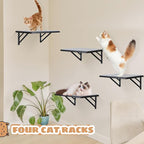 Cat Wall Shelves Set of 4, Purrfect Cat Furniture Set - 4 Piece Wooden Wall Shelves with Scratching Pad, Sleeping & Playing Area, Window Perch for Large Cats - Black