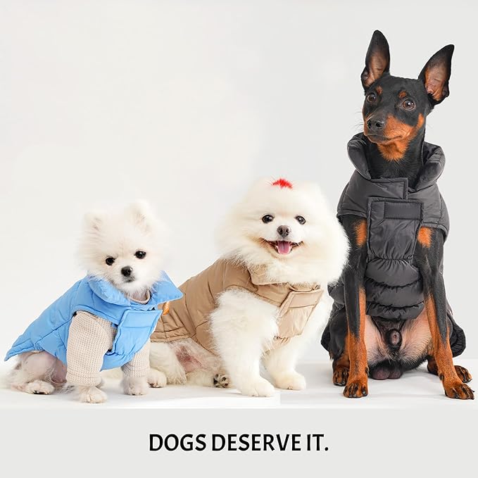 SPACE LION Dog Puffer Jacket, Down Winter Coat, Durable Outdoor Coat for Cold and Windy Conditions, Lightweight & Adjustable Fit Coats for Small Dogs, (Alaskan Blue, Size 10 Gift Box)