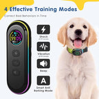Lychee Training Collar (Black)