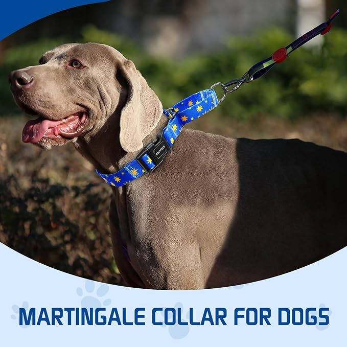 Kazazoo Martingale Collar for Dogs with Quick Release Buckle Adjustable Soft Durable Dog Collar for Small Medium Large No Pull Training Dog Collars-Blue Sky L