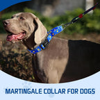 Kazazoo Martingale Collar for Dogs with Quick Release Buckle Adjustable Soft Durable Dog Collar for Small Medium Large No Pull Training Dog Collars-Blue Sky L