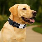 AirTag Holder Dog Collar for Large Medium Dogs, Adjustable Nylon Dog Training Collar with Quick Release Buckle, Reflective Heavy Duty Tactical Dog Collar with Handle (Black M)