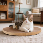 Round Cat Scratcher Refill 10 inch Diameter 3/5 Inch Thickness Circle Scratcher Replacement Scratcher Pads for Indoor Cats Scratching Cardboard (1 Pc)