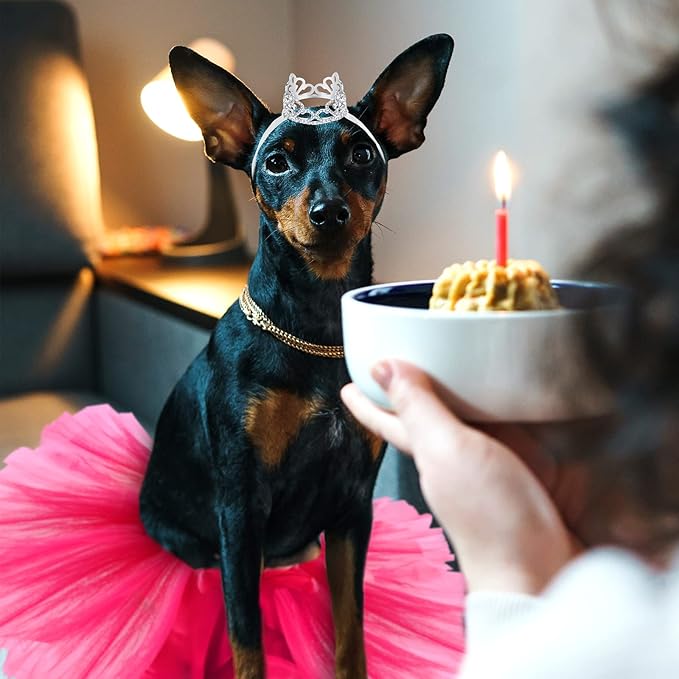 2 Pcs Dog Crown Headband Dog Tutu Dress Set Crystal Rhinestone Tiara Crown Tutu Skirt Pet Dress Costume for Puppy Birthday Party Wedding Photo Prop Costume(Large,Rose Red)