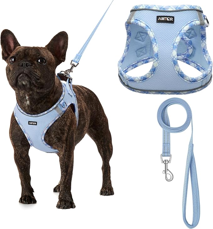 AMTOR Small Dog Harness with Leash Set, No Escape Easy Walk Puppy Harnesses for Training Walking, Step-in Reflective Soft Dogs Vest for XS S Medium Extra-Small Large Sized Dog(XL Size,Blue/White)