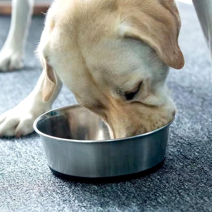 Deep Stainless Steel Non-Skid Dog and Food Bowls, Each Holds Up to 2 Cups, Set of 2 Packs(5.5 x 1.9 Inches)