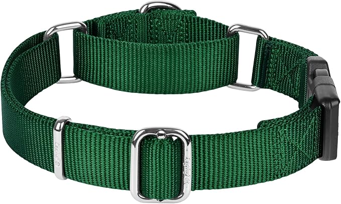 Martingale Collar for Dogs with Quick Release Buckle, Heavy-Duty Solid Color Nylon Training Collars - Adjustable No-Slip Design for Medium & Large Dog