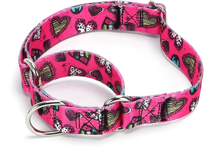 Serijoars Adjustable Martingale Dog Collar Heavy Duty Nylon Dog Collar for Medium Large Dogs Walking Training Boy and Girl Dogs (NO5, M)
