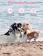 Dog Training Collar for 3 Dogs, No Shock Vibrating Dog Collar 3 Pack - Rechargeable Waterproof 3300FT Training Collars with Remote, Vibration Collar for Puppy Small Medium Large Dogs