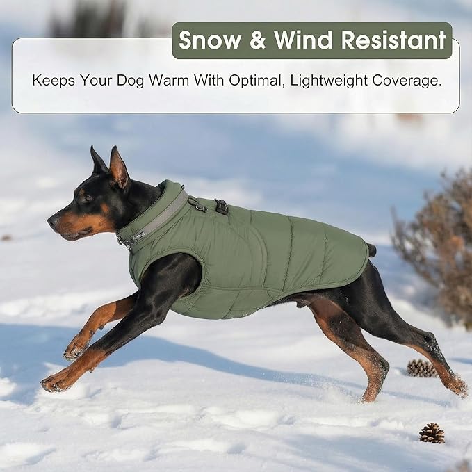 SAWMONG Dog Coat, Warm Dog Winter Coat, Waterproof Fleece Jacket, Cold Weather Dogs Jacket (M,Green)