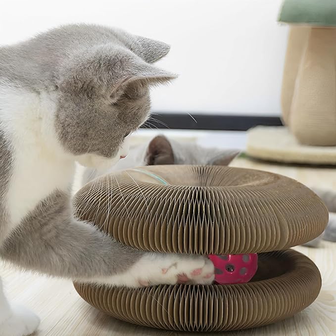 Magic Organ 2PC Cat Scratch Board, Cat Toy with Bell, Foldable Magnetic Corrugated Paper Circular