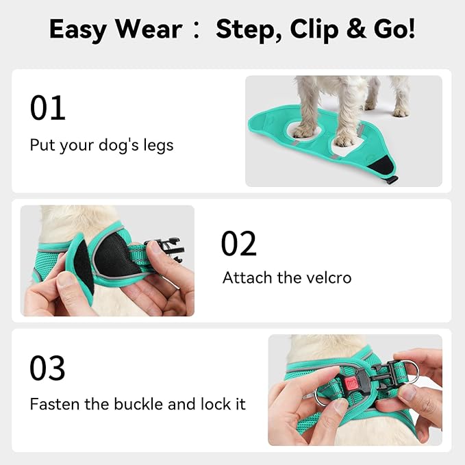 Joytale Small Dog Harness, Breathable Mesh Step-in Vest, Reflective Soft Padded Harnesses for Puppies and Extra Small Dogs, Teal, XS