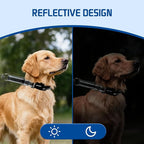 Kazazoo Reflective Martingale Collar for Dogs with Quick Release Buckle Adjustable Soft Durable Dog Collar for Small Medium Large No Pull Training Dog Collars-Black S