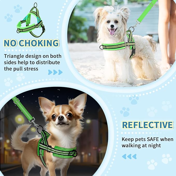 Lukovee No Pull Dog Harness and Leash Set, Soft Padded Small Dog Harness, Neck & Chest Adjustable Reflective Vest Puppy Harness with 4ft Lightweight Anti-Twist Dog Leash for Small Dogs (S, Green)