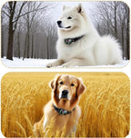 Dog Collar Replacement Strap,Replacement Collar for Training Shock Collar Reflective Adjustable Bark Collar Strap Compatible with Most Training Receivers ﻿