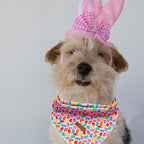 Elegant little tail Easter Dog Bandana, Colorful Candy 1PC Washable Dog Scarf Female or Male Square Bib Kerchief Scarf Adjustable Pet Bandana for Medium Large Dogs