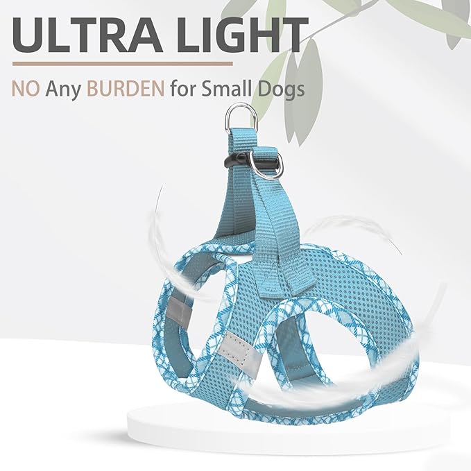 PUPTECK Dog Harness and Leash Set for Small Medium Dogs No Pull Step-in Soft Mesh Puppy Cat Vest Harnesses Reflective at Night, Sky Blue, XS