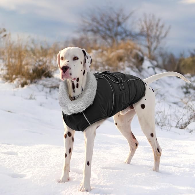 Lelepet Warm Dog Coat Reflective Dog Fleece Vest Waterproof Jacket Windproof Winter Cold Weather Coats with Adjustable Buckle Jackets for Large Dogs, Black, L