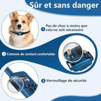 Ultra-Small Dog Shock 2 Collars, Ultra-Thin & Light Dog Training 2 Collars with Remote for Small 2 Dogs 5-15lbs & Medium Large Dogs, 2000ft Range, Waterproof, Rechargeable