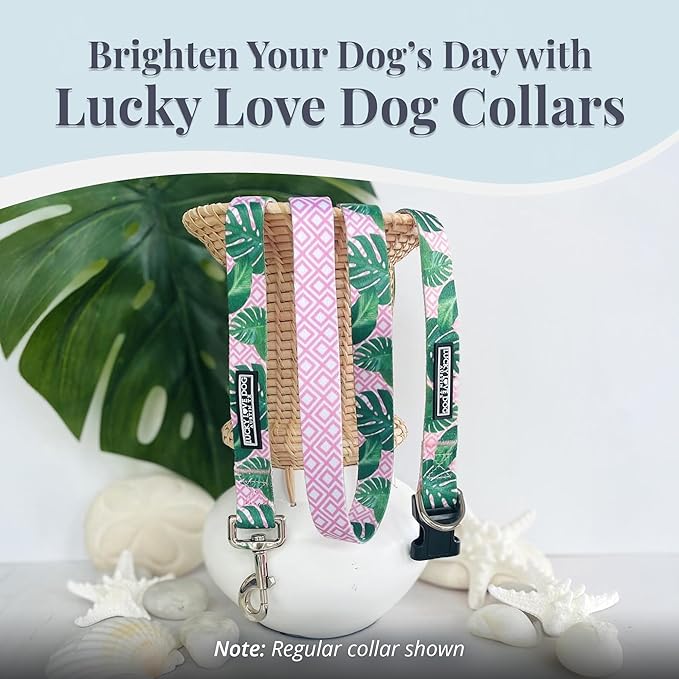 Lucky Love Dog Martingale Dog Collar - Adjustable, No-Slip, Comfortable, Durable, Soft Webbing & Stylish Patterned Collar for Male and Female Dogs Ideal for Training & Walking - Laguna, Large