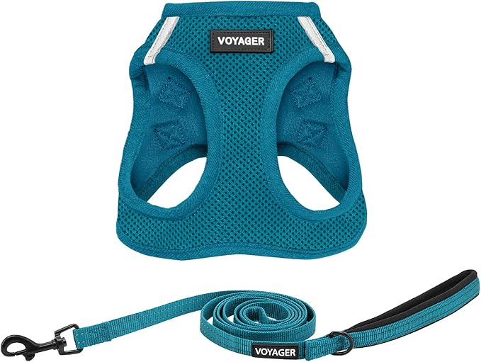 Best Pet Supplies Voyager Step-in Air All Weather Mesh Harness and Reflective Dog 5 ft Leash Combo with Neoprene Handle, for Small, Medium and Large Breed Puppies - Set (Turquoise), XXS