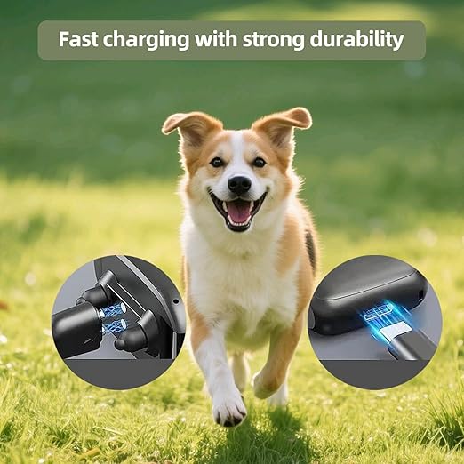 Dog Shock Collar Charger Replacement for Jugbow/Delupet/Yawpet Training Collar,2-in-1 USB C and Magnetic Charging Cable for Dog Collar and Remote Control