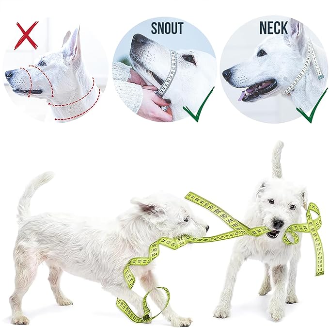 GoodBoy Dog Head Halter with Safety Strap - Stops Heavy Pulling On The Leash - Padded Headcollar for Small Medium and Large Dog Sizes - Head Collar Training Guide Included (Size 2, Black)