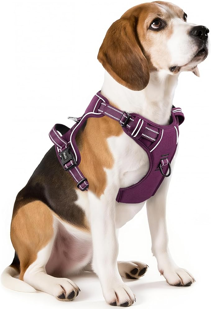 HEELE Dog Harness for Medium Dogs No Pull Dog Vest Harness with Soft Padded Handle Reflective for Outdoor Training, Purple(Matching Trim), M
