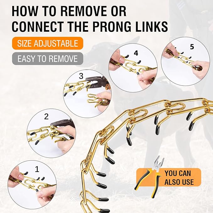 Dog Pinch Collar Stainless Steel,Gold Prong Dog Training Collar,No Pull Martingale Collar Stainless Steel Metal Chain Collar,Adjustable Size Collar for Medium and Large Dogs (M, Gold)