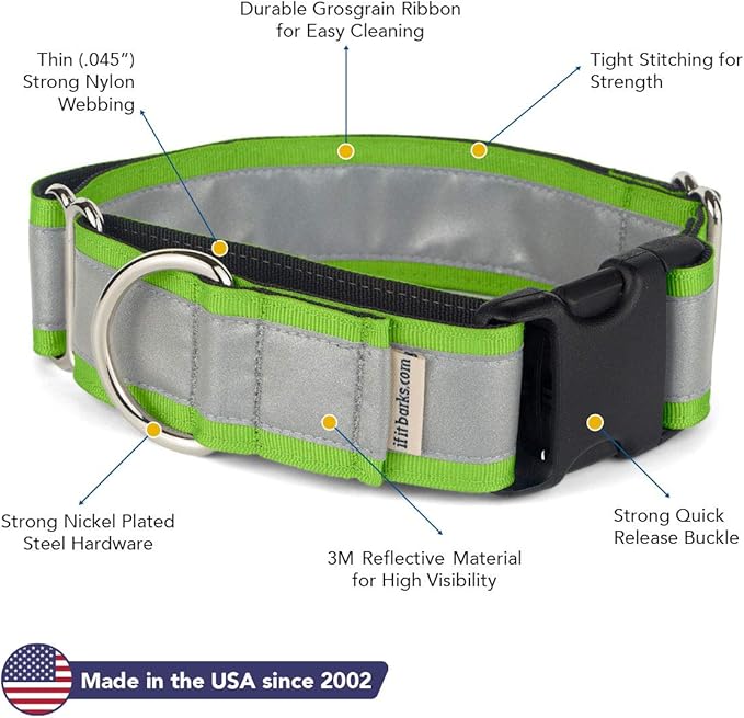 If It Barks - 1.5" Reflective Martingale Collar with Quick Snap Buckle for Dogs - Adjustable - Made in USA - Strong, Durable, and Comfy - Ideal for Training - Fits Most Breeds - Small, Apple Green