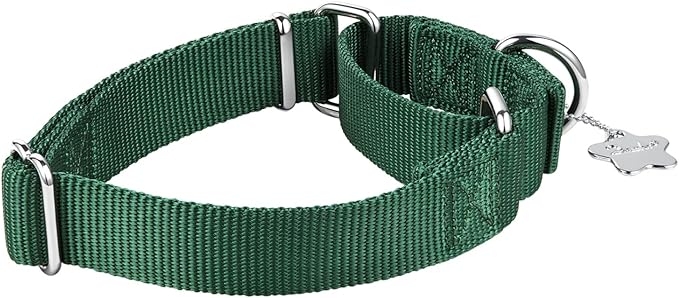 Martingale Dog Collar, Escape-Proof and No Slip Design, Heavy-Duty Nylon with Metal Buckle, Adjustable for Small, Medium & Large Dogs, Colorfast for Training, Daily Walks (Dark Green, M)
