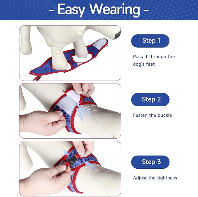 Dog Harness for Small Dogs and Leash Set, Honeycomb Grid, Reflective Lightweight Harness & Anti-Twist Pet Lead Multi Color, Size: XS-S-M. (XS, Red & Blue)