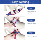 Dog Harness for Small Dogs and Leash Set, Honeycomb Grid, Reflective Lightweight Harness & Anti-Twist Pet Lead Multi Color, Size: XS-S-M. (XS, Red & Blue)