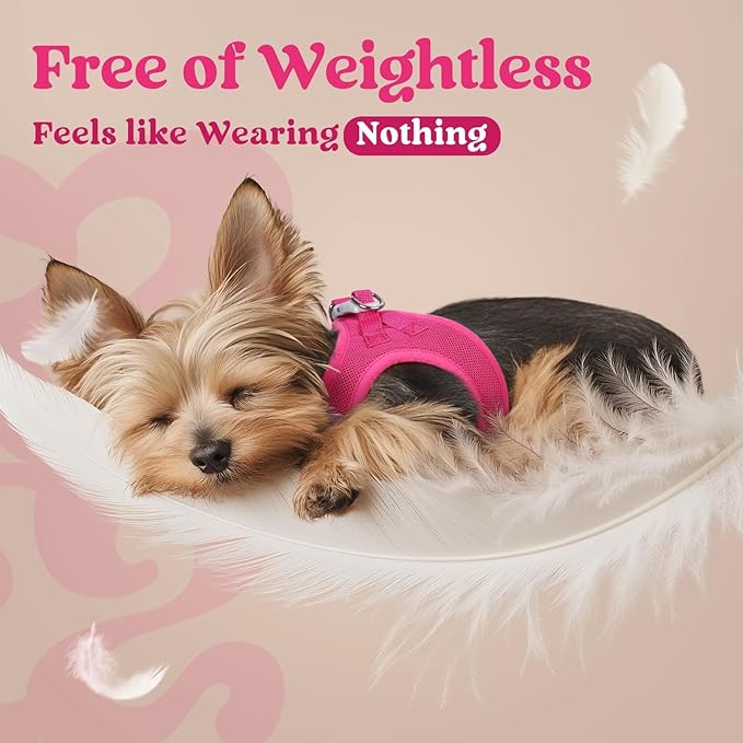 rabbitgoo Small Dog Harness, Step-in Soft Mesh Puppy Vest with Safety Buckle, Breathable Reflective Pet Harness for Small Medium Dogs, Rose Red XL