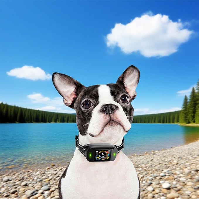 Dog Collar Replacement Strap,Replacement Collar for Training Shock Collar Reflective Adjustable Bark Collar Strap Compatible with Most Training Receivers ﻿