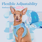 rabbitgoo Small Dog Harness, Step-in Soft Mesh Puppy Vest with Safety Buckle, Breathable Reflective Pet Harness for Small Sized Dogs, Blue & Plaid Trim XS
