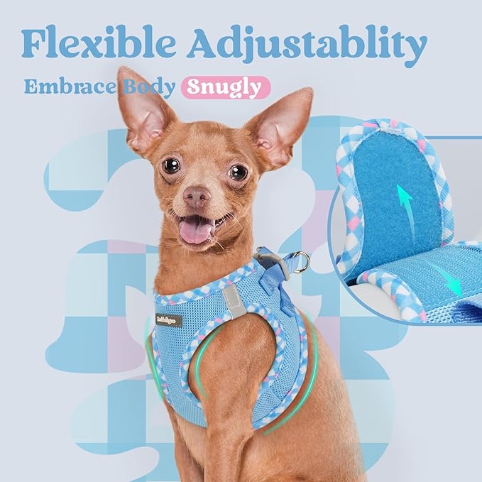 rabbitgoo Small Dog Harness, Step-in Soft Mesh Puppy Vest with Safety Buckle, Breathable Reflective Pet Harness for Small Medium Dogs, Blue & Plaid Trim L