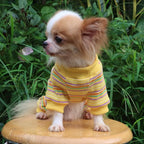 LOPHIPETS Dog Pajama Onesie for Small Bichon Clothes Apparel-Yellow/XL