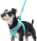 PUPTECK Dog Harness and Leash Set for Small Medium Dogs No Pull Step-in Soft Mesh Puppy Cat Vest Harnesses Reflective at Night, Green M