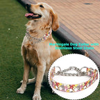 Choke Collar for Dogs - Cartoon Dog Adjustable Training Slip Collar with Chain, Anti Pull Design for Medium & Large Dogs(XL)