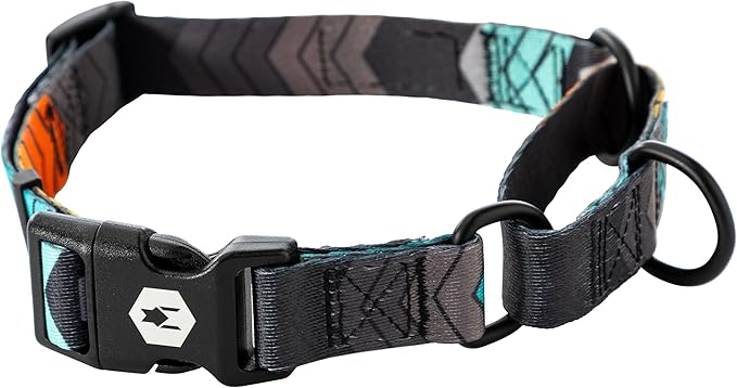 Wolfgang Heavy Duty Martingale Dog Collar with Quick Release Nylon Buckle for Walking & Training, ChevTech Print, Small