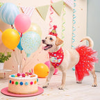 SCENEREAL Dog Birthday Bandana with Hat and Dress Girl Set, Puppy Birthday Party Supplies, Cute Tutu Skirt Red Outfit for Small Medium Large Dogs