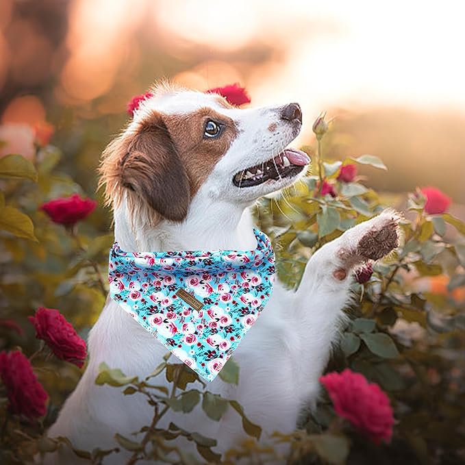 Elegant Little Tail Bandana - Washable Cotton Dog Kerchief & Reversible Scarf for Small to Large Dogs