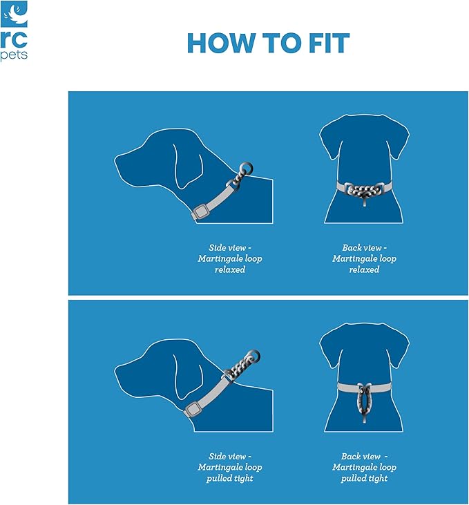 Training Collar | Strawberries, Small