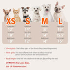 PUPTECK Plaid Dog Dress Pet Apparel for Autumn with Cute Bowtie Puppy Clothes Outfit, Maple Leaf, XS