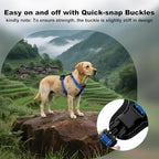 Plutus Pet Adjustable No Pull Dog Harness with Leather Accents, Heavy Duty Reflective Nylon Vest for Training, Hiking, Easy Walk Harness for Small, Medium, Large Dogs (Royal Blue, M)
