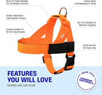 DF Co. Dog Harness | Chafe Resistant Webbing, Adjustable Neck & Chest, and Heavy Duty D-Ring | Sturdy, Comfortable, Easy to Use | Hi-Vis Orange, Size M